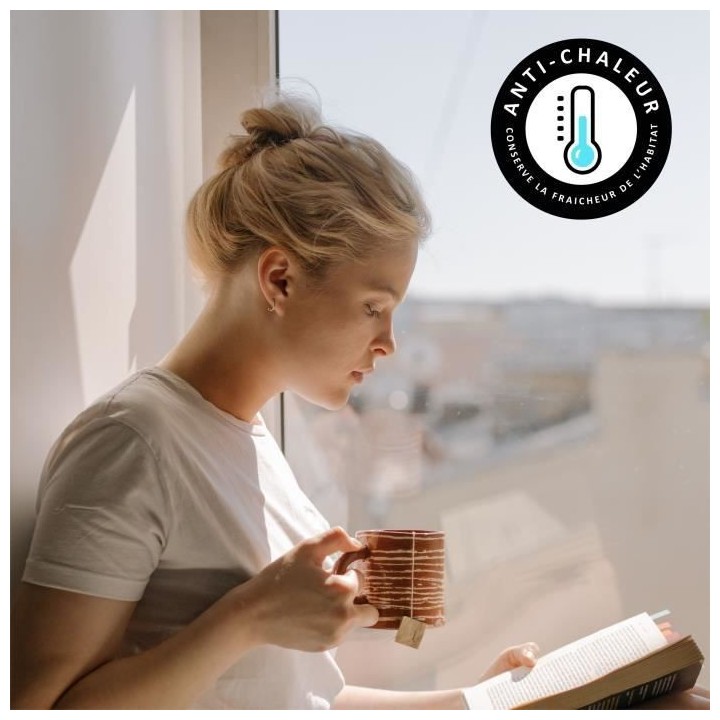 Film Adhésif pour Vitrage - EASY PROTEC - 100 x 90 cm - Anti Chaleur