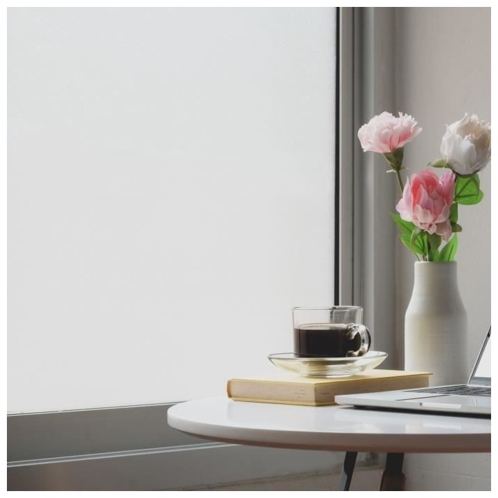 Film Repositionnable pour Vitrage - EASY PROTEC - 100 x 90 cm - Dépol