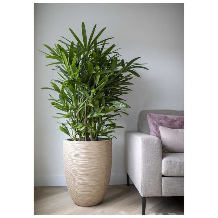 Vase élégant bas - CAPI EUROPE - WASTE RIB NL - 46 x 58 cm - Terrazz