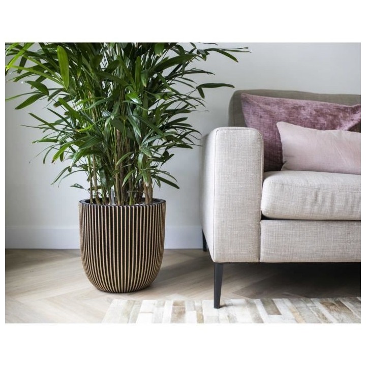 Capi Jardiniere Groove 43x41 cm noir et doré 445487