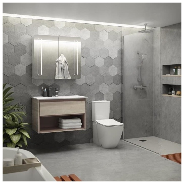 Ensemble de douche - IDEALRAIN EVO - barre 60 cm et douchette ronde 12