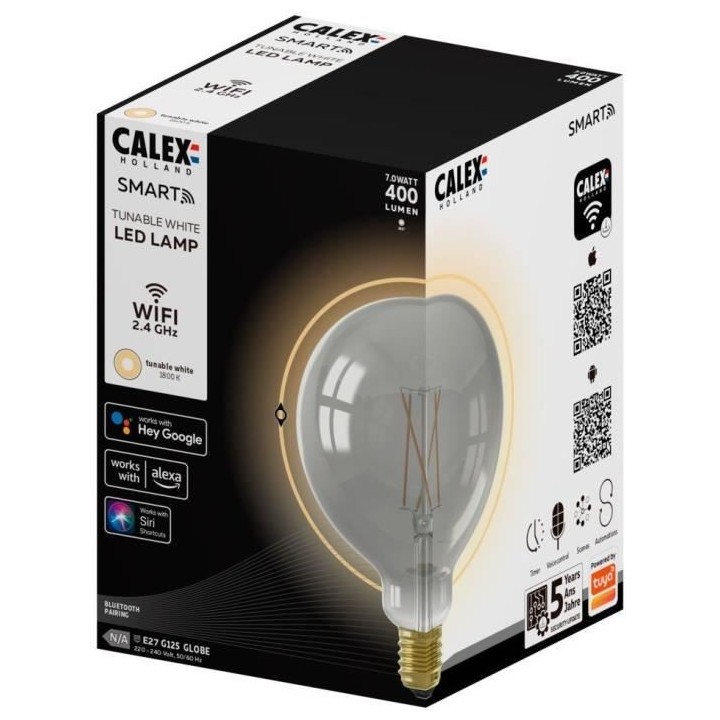 Ampoule LED E27 - CALEX - G125 SMART GLOBE - Filament droit - 7 W - 40