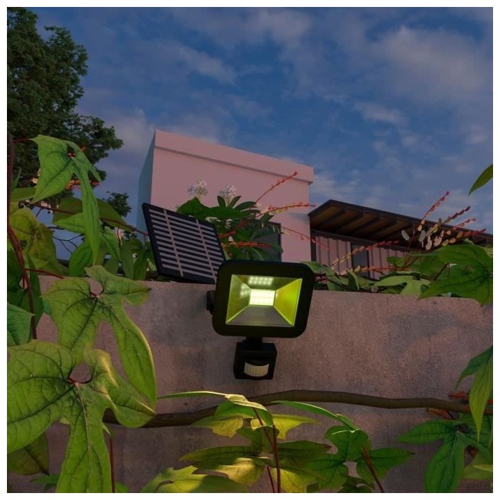 Projecteur solaire - CALEX - 800 lm - Sans fil - Extérieur - Avec pan