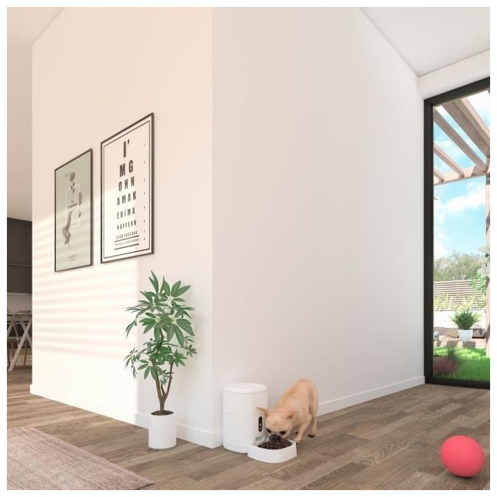 Mangeoire intelligent avec caméra - CALEX - SMART PETFEEDER - Blanc