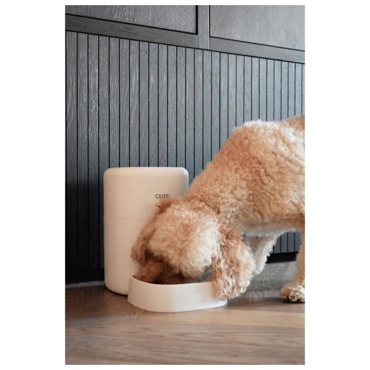 Mangeoire intelligent avec caméra - CALEX - SMART PETFEEDER - Blanc