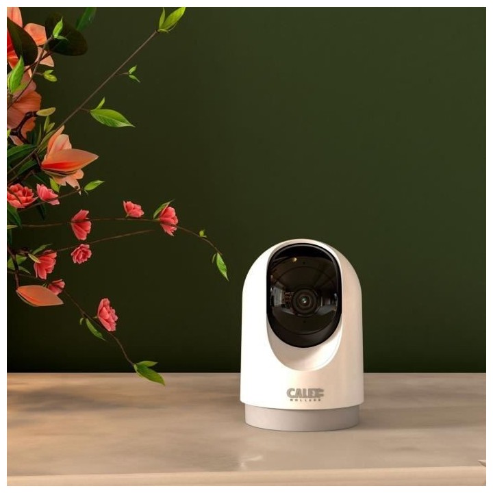 Caméra - CALEX - PTZ CAMERA - HD