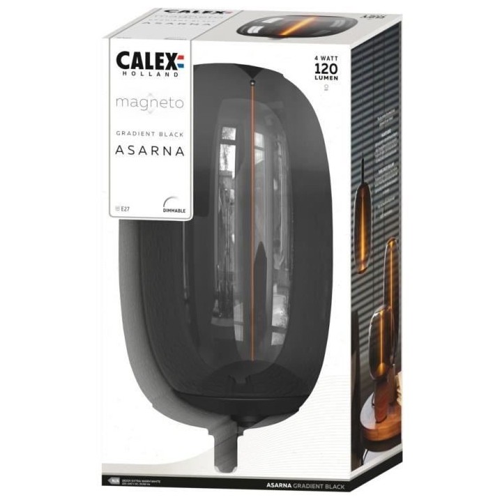 Ampoule LED E27 - CALEX - MAGNETO ASARNA - Filament flexible - 4 W - 1