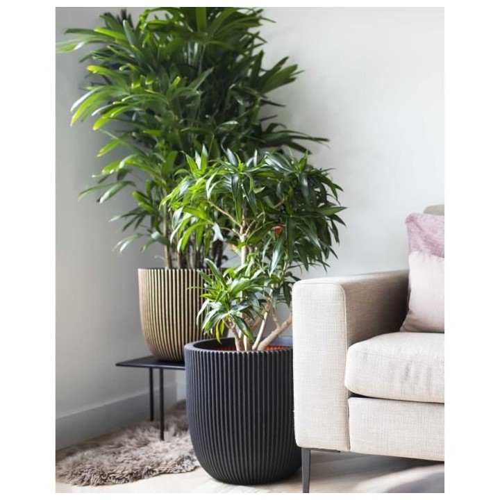 Capi Jardiniere Nature Rib 43x41 cm noir KBLR933 424234