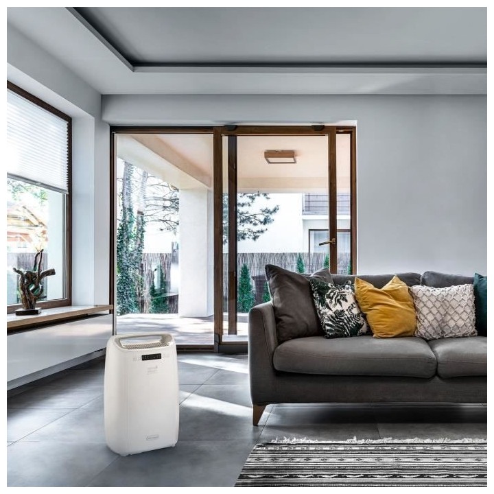 Déshumidificateur Delonghi DEXD214RF