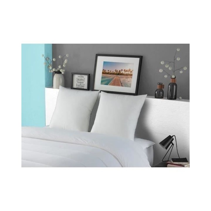 DODO Oreiller LUXOR 60x60 cm - 100% Coton - Effet Duvet