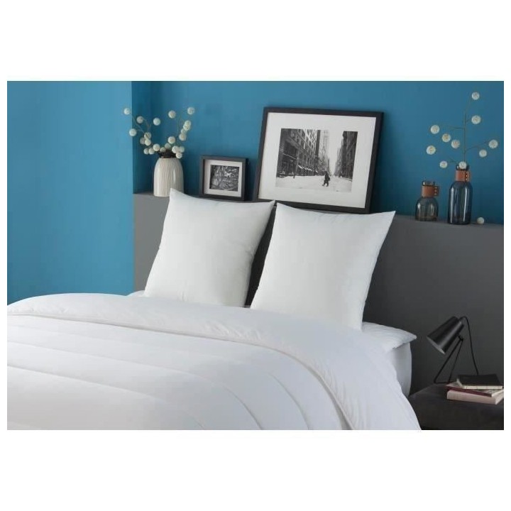 DODO Lot de 2 oreillers Tendance - 60 x 60 cm - Garnissage 100% Polyes