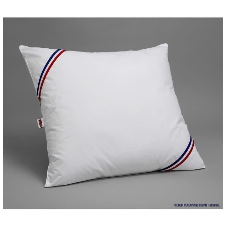 DODO Pack 2 oreillers tendance 60x60cm + 2 protege oreillers imperméa