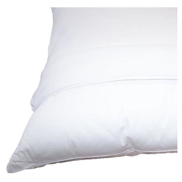 DODO Pack 2 oreillers tendance 60x60cm + 2 protege oreillers imperméa