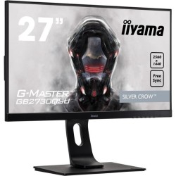 Écran PC Gamer - IIYAMA...