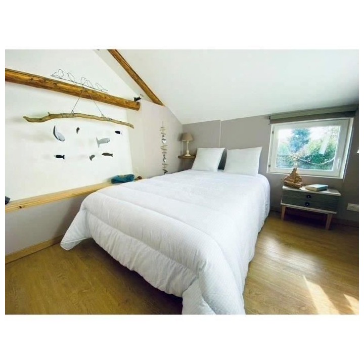 DODO Couette tempérée 300gr/m² 140x200 cm - Protection anti punaise