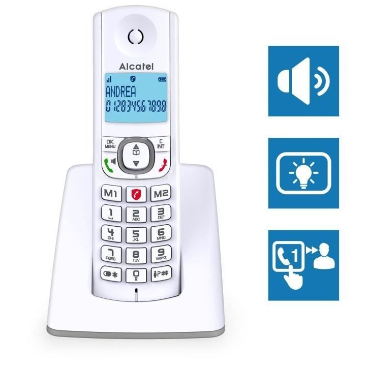 Téléphone sans fil - ALCATEL - F530 - Solo Gris