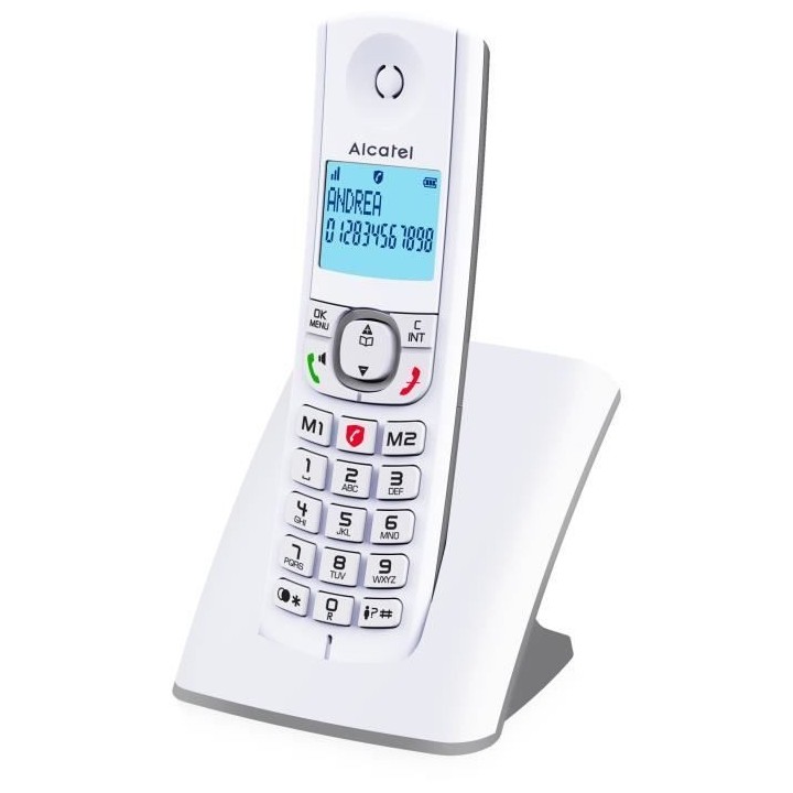 Téléphone sans fil - ALCATEL - F530 - Solo Gris