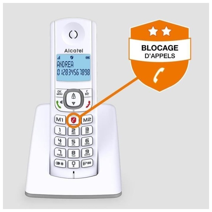 Téléphone sans fil - ALCATEL - F530 - Solo Gris