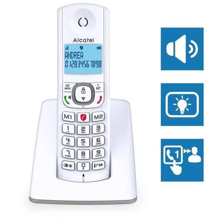 Téléphone sans fil - ALCATEL - F530 Duo - 2 combinés, blocage d'app