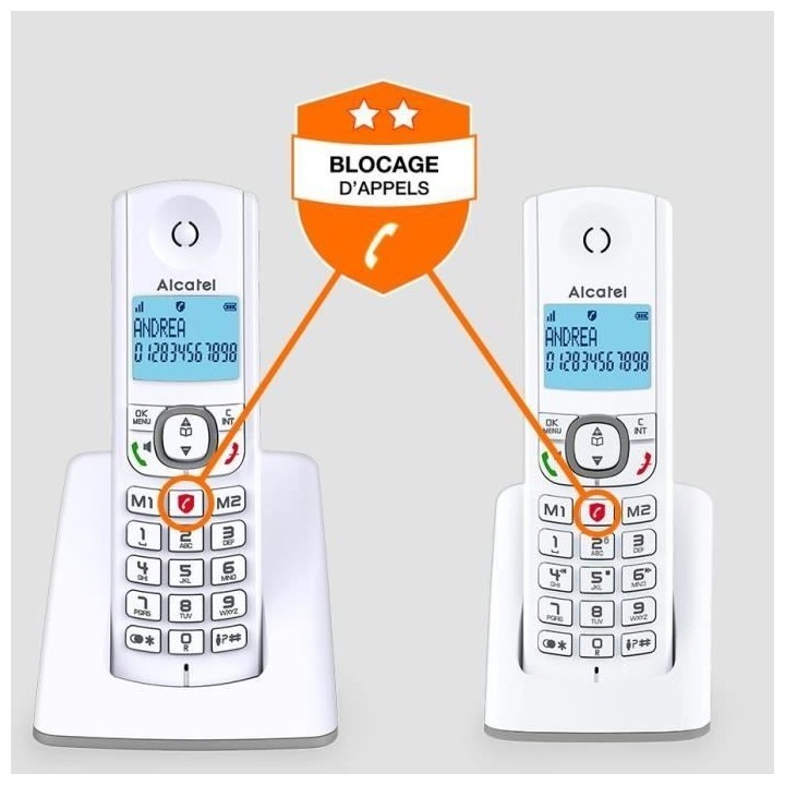 Téléphone sans fil - ALCATEL - F530 Duo - 2 combinés, blocage d'app