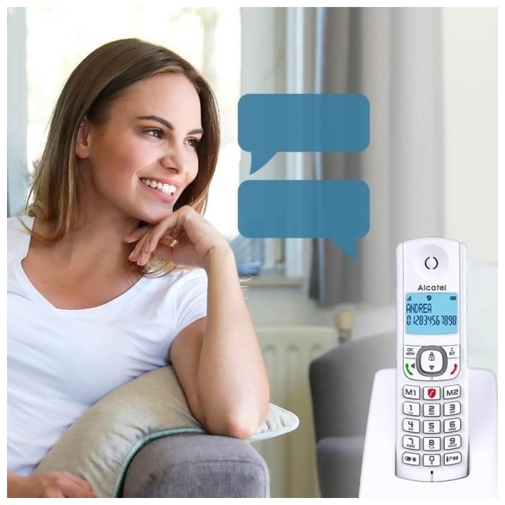 Téléphone sans fil - ALCATEL - F530 Duo - 2 combinés, blocage d'app