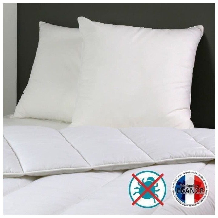 2 Oreillers Belle Nuit 60x60