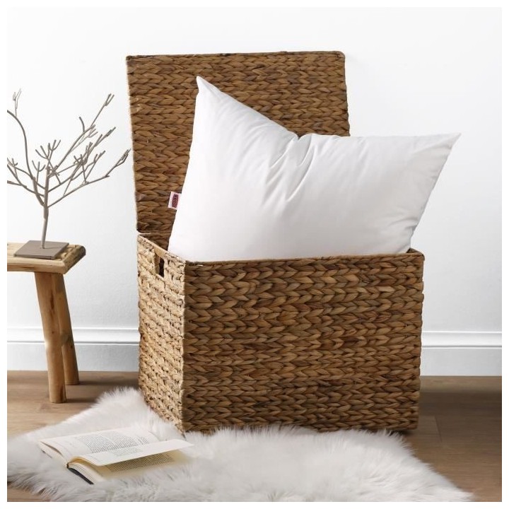 2 Oreillers Belle Nuit 60x60