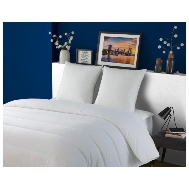 DODO Lot de 2 Oreillers Le Top Affaire - 60 x 60 cm - 100% Polyester V