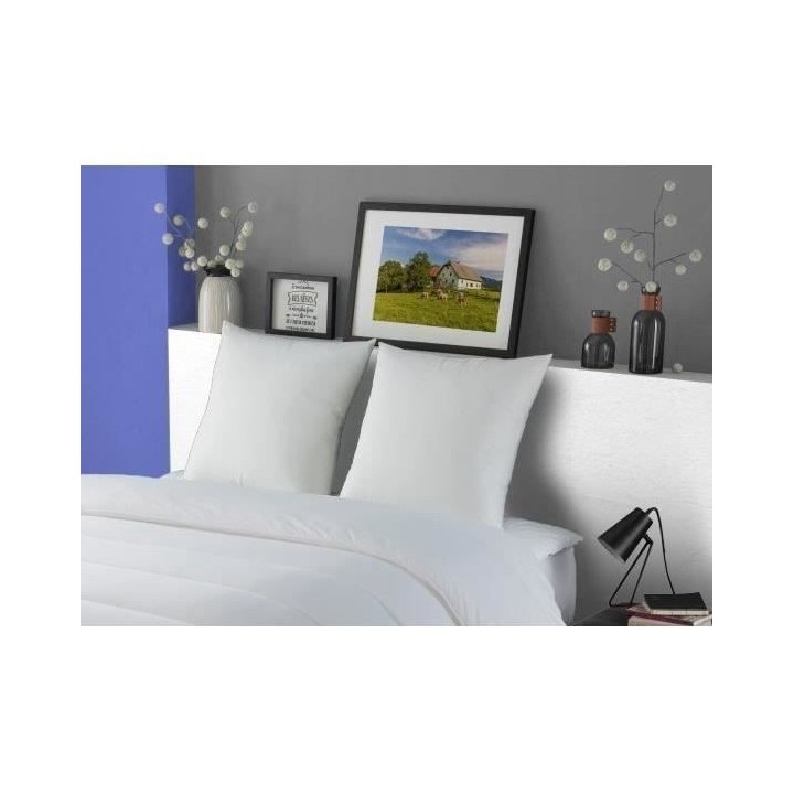 DODO Lot de 2 Oreillers MERIBEL Plumettes 60x60cm