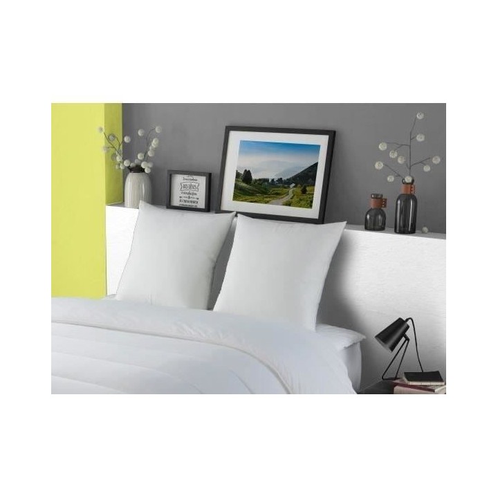 DODO Oreiller Duvet Oie MORZINE Anti-Acariens 65x65cm blanc