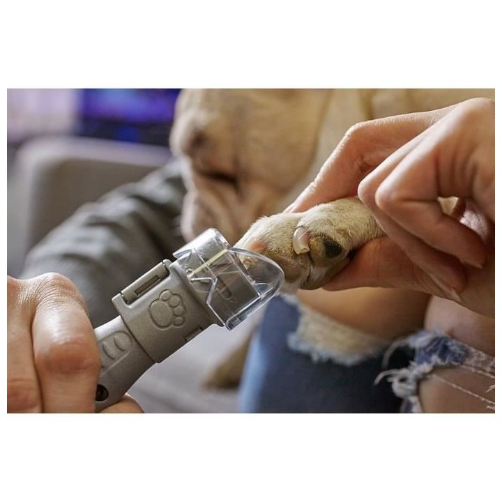 DREMEL Machine giffres pour chiens sur piles, 4 disques