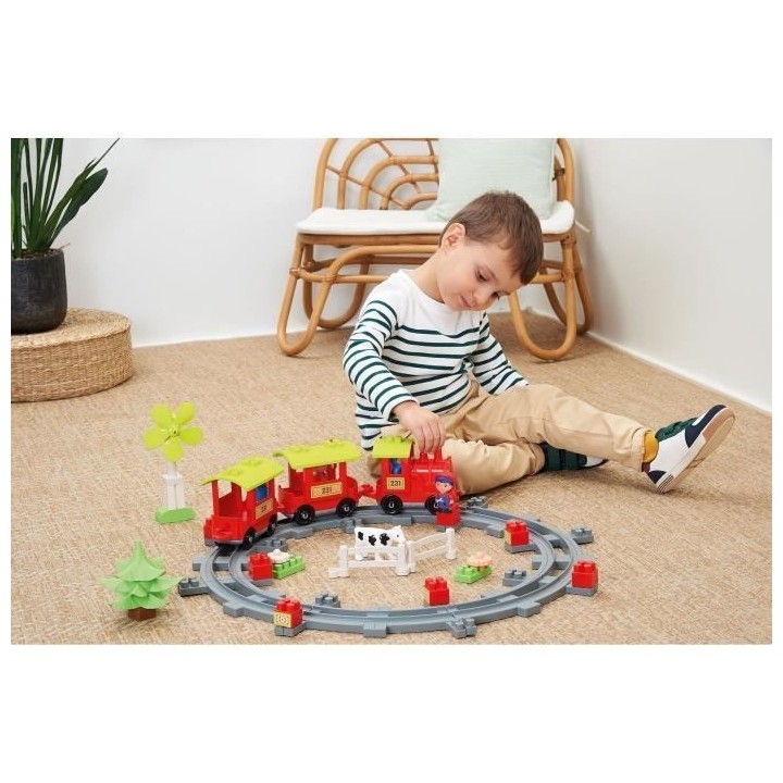 ECOIFFIER 2982 Abrick - Train de campagne - Tchou Tchou