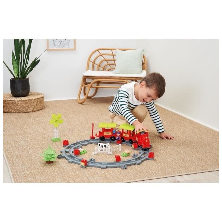 ECOIFFIER 2982 Abrick - Train de campagne - Tchou Tchou