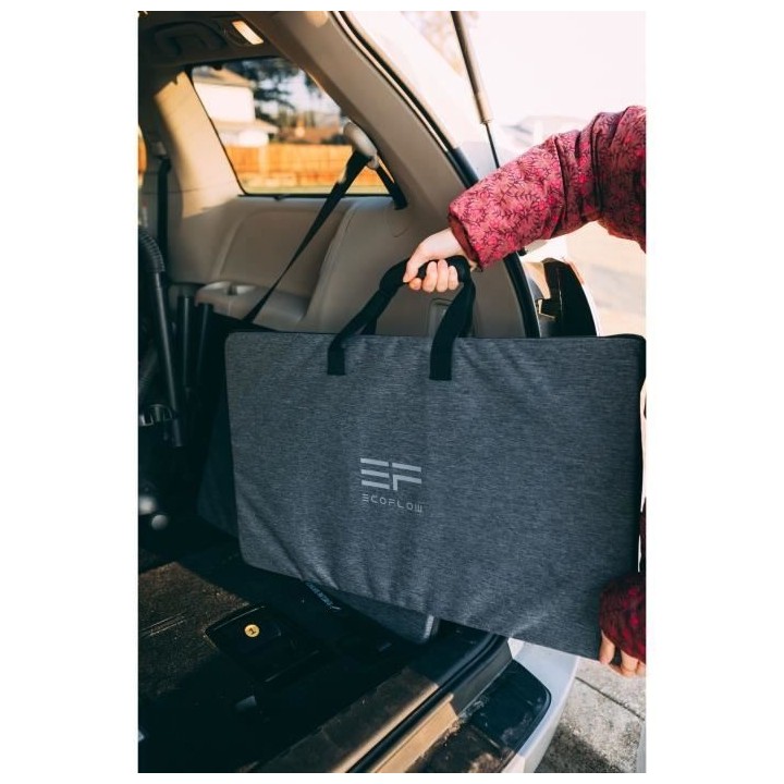 Panneau solaire portable - ECOFLOW - 160W - étanche et pliable