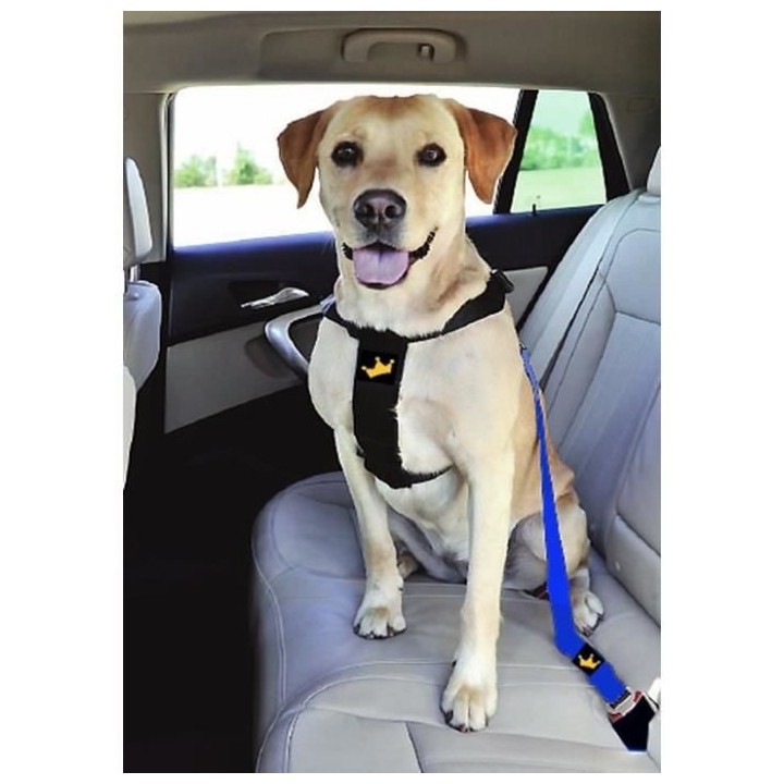 ANIMALS&CAR Harnais de sécurité réglable pour chien