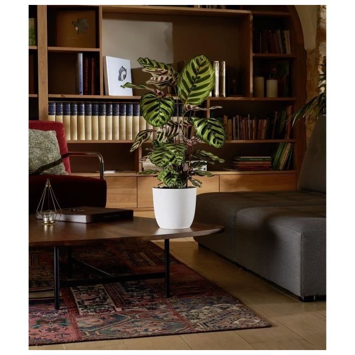 EDA Cache-pot OPALE Ø 29,5 cm - Volume 14,8 L - Blanc ivoire