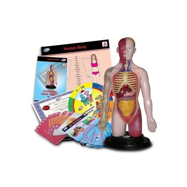 Corps Humain Jeu Educatif