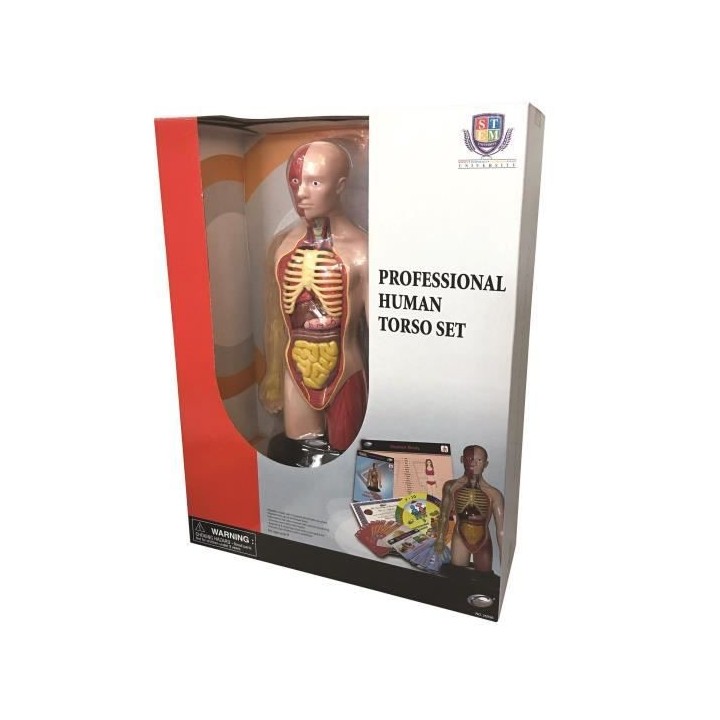 Corps Humain Jeu Educatif