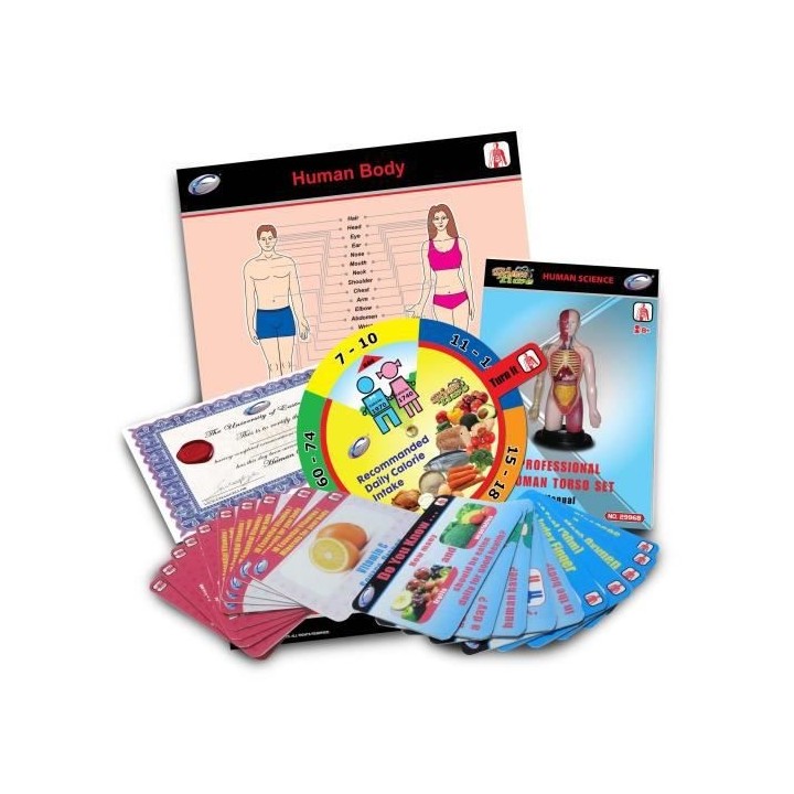 Corps Humain Jeu Educatif