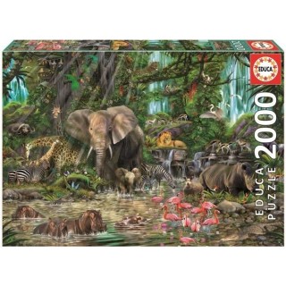 Puzzle Jungle Africaine - EDUCA - 2000 Pieces - Pour Adultes - Intéri