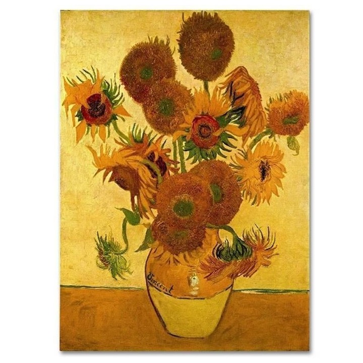 Puzzle VAN GOGH - 2 oeuvres emblématiques - 1000 pieces chacun