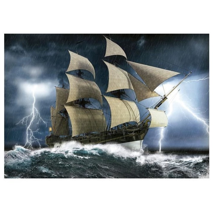 Puzzle Paysage et nature - EDUCA - TEMPeTE PARFAITE - 1000 pieces - Mu