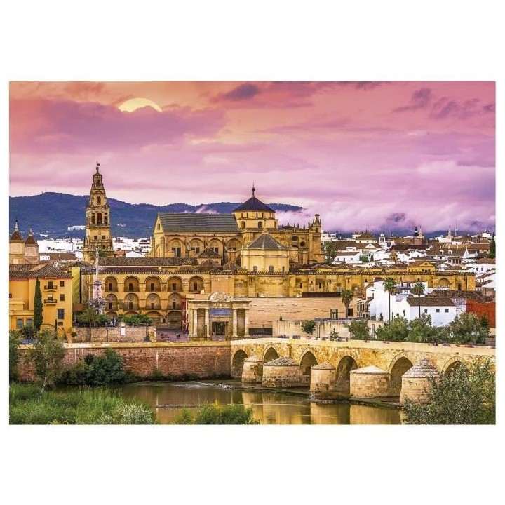 Puzzle Architecture et monument - EDUCA - CORDOUE - 1000 pieces - Mult