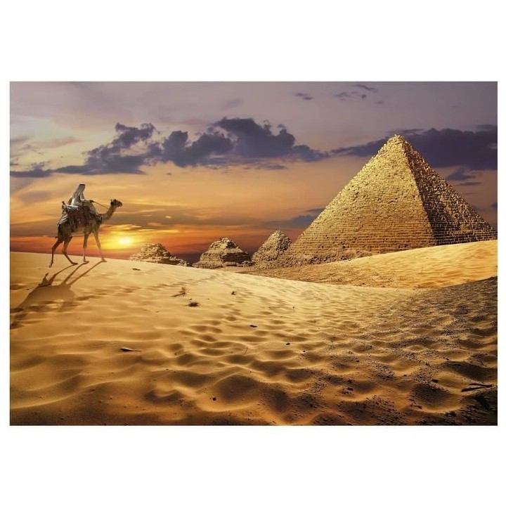 Puzzle 1000 pieces CHAMEAU DANS LE DÉSERT - EDUCA - Animaux - Intéri