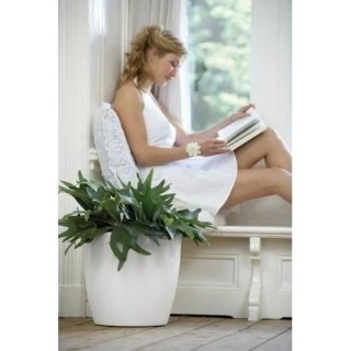 ELHO Brussels Pot de fleurs rond Roues 40 - Blanc - Ø 39 x H 37 cm -