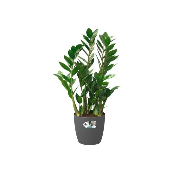 ELHO Brussels Pot de fleurs rond Roues 47 - Noir - Ø 47 x H 44 cm - i