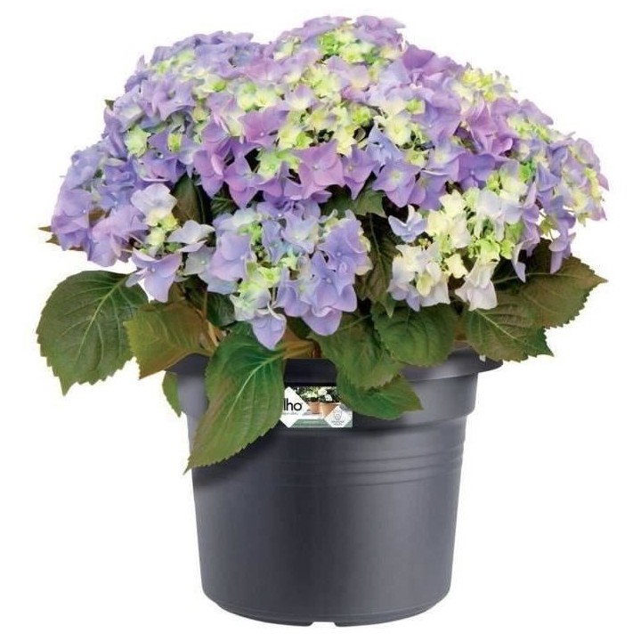 Pot De Fleurs Rond GREEN BASICS - Plastique - Ø40 - Noir