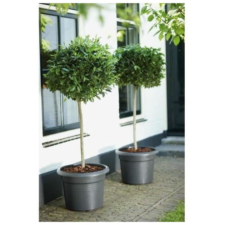 Pot De Fleurs Rond GREEN BASICS - Plastique - Ø40 - Noir