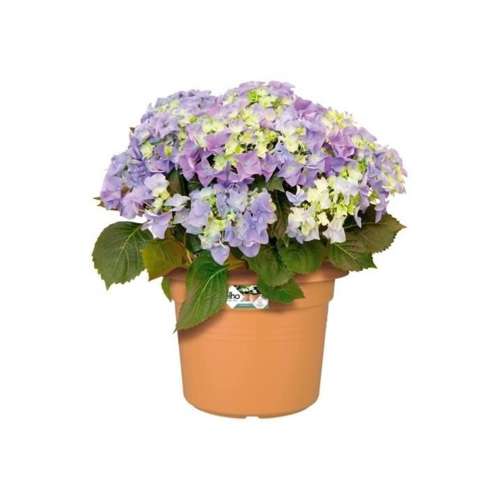 Pot De Fleurs Rond GREEN BASICS - Plastique - Ø40 - Terre cuite doux