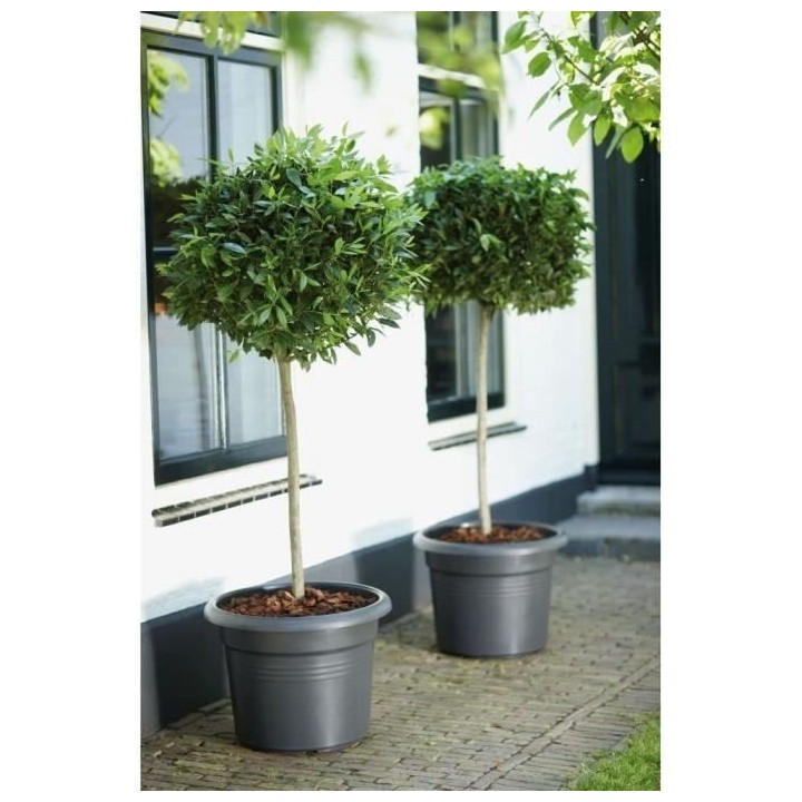 Pot De Fleurs Rond GREEN BASICS - Plastique - Ø45 - Terre cuite doux